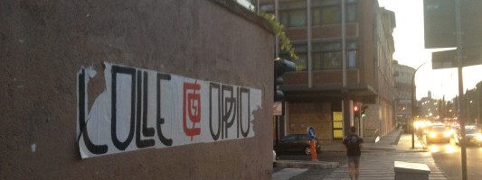 Tutti gli abusi dei Gabbiani. Un appello a Fabio Rampelli