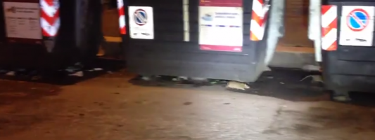Chi riesce a contare quanti ratti ormai abitano in Piazza Manfredo Fanti?