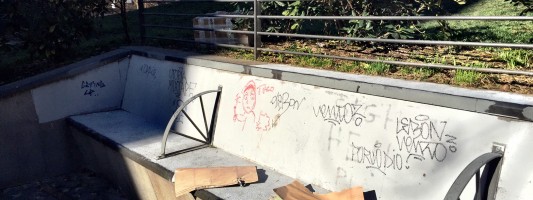 Parco di Via Statilia. I Pics puliscono, dopo un giorno i vandali ri-insudiciano tutto